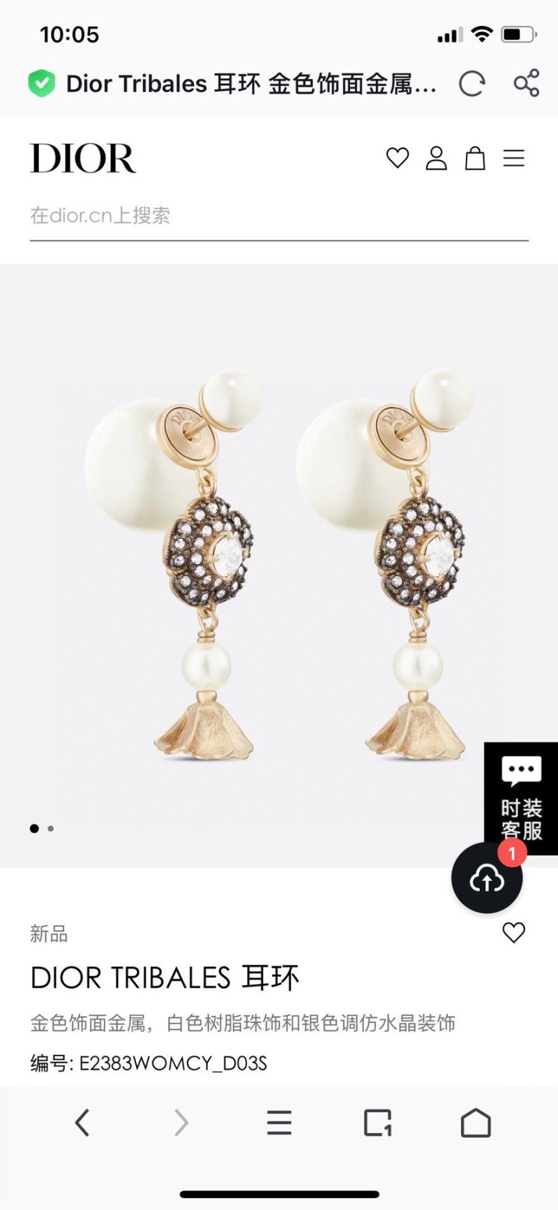 Christian Dior Earrings